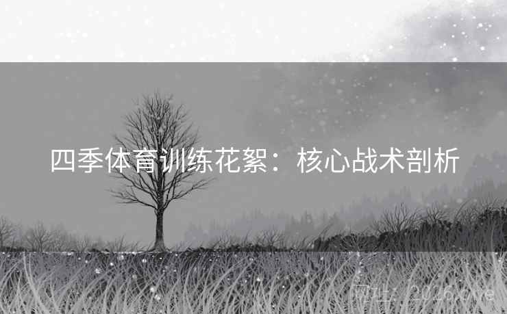 四季体育训练花絮：核心战术剖析