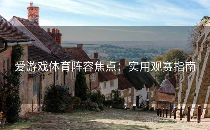 爱游戏体育阵容焦点：实用观赛指南