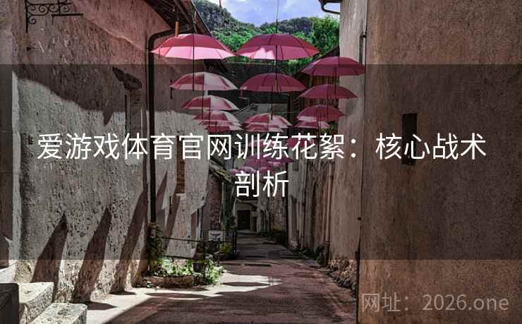 爱游戏体育官网训练花絮：核心战术剖析