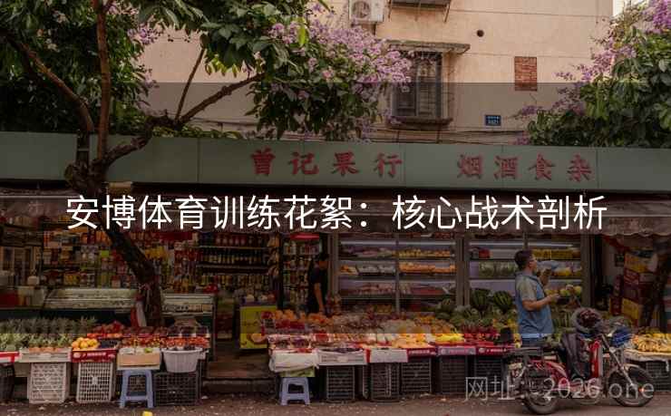 安博体育训练花絮:核心战术剖析