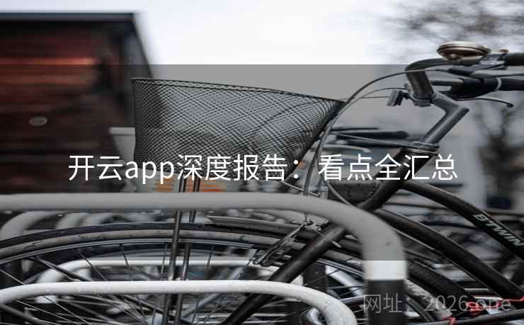 开云app深度报告:看点全汇总