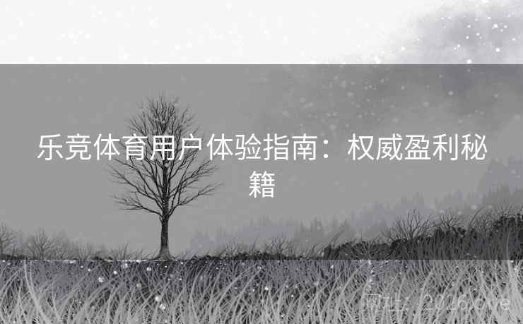 乐竞体育用户体验指南:权威盈利秘籍